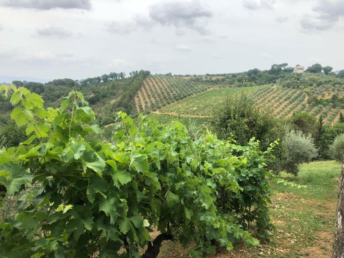 La Valle Di Anna Lastra a Signa Ngoại thất bức ảnh